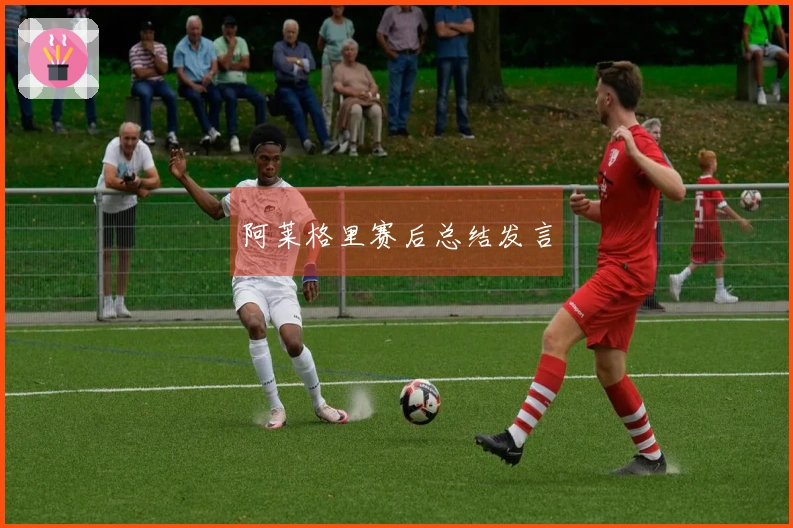 阿莱格里赛后总结发言
