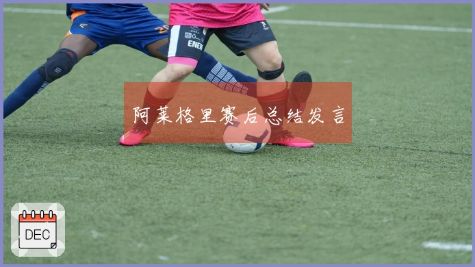阿莱格里赛后总结发言