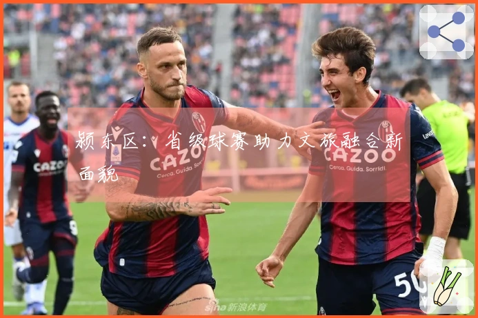 颍东区：省级球赛助力文旅融合新面貌